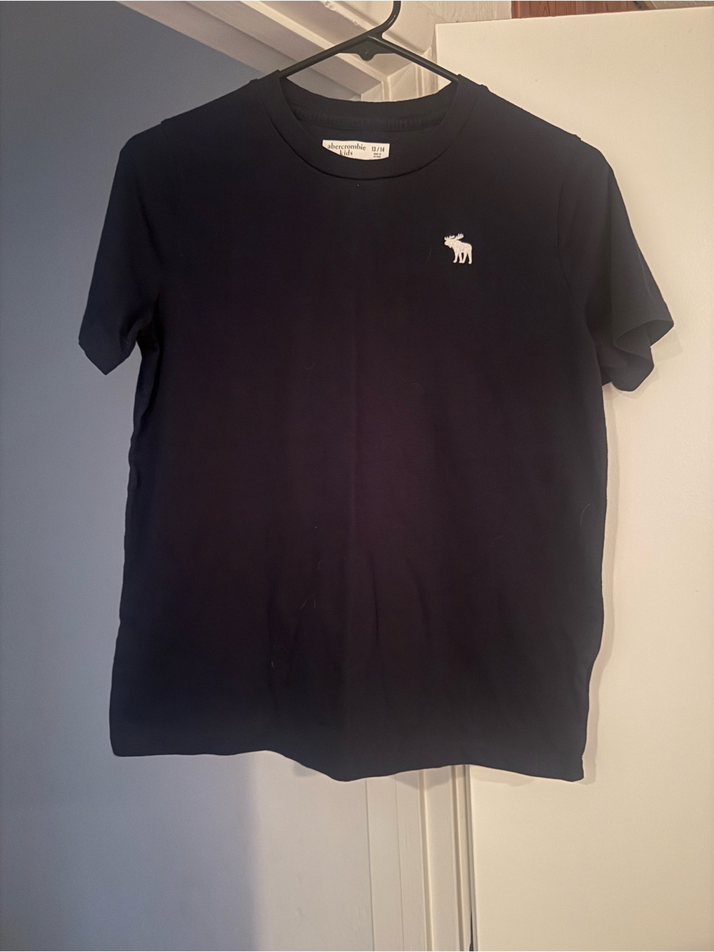 Abercrombie & Fitch Boys Navy Logo Crew Neck T-Shirt